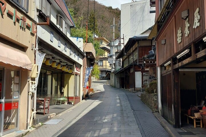 Snow Monkey Park & Shibu Onsen Day Tour — Soba Lunch and Hot Springs in Nagano photo 3