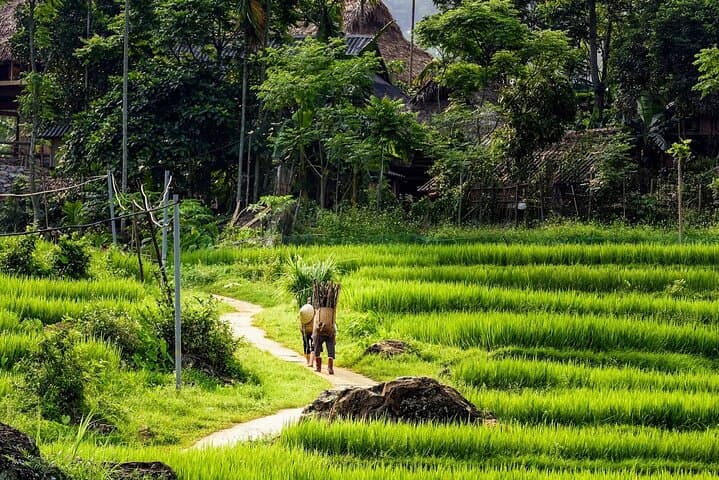 4-Day North Vietnam: Da Bac, Mai Chau & Pu Luong Cultural Escape photo 3