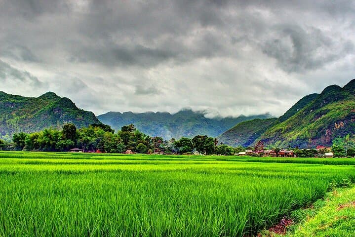 4-Day North Vietnam: Da Bac, Mai Chau & Pu Luong Cultural Escape photo 5