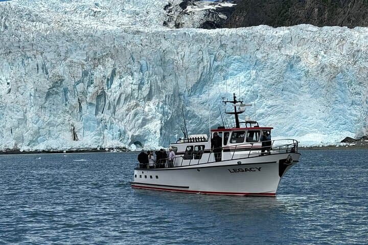 Explore Kenai Fjords National Park: Whale Watching and Fishing Adventure