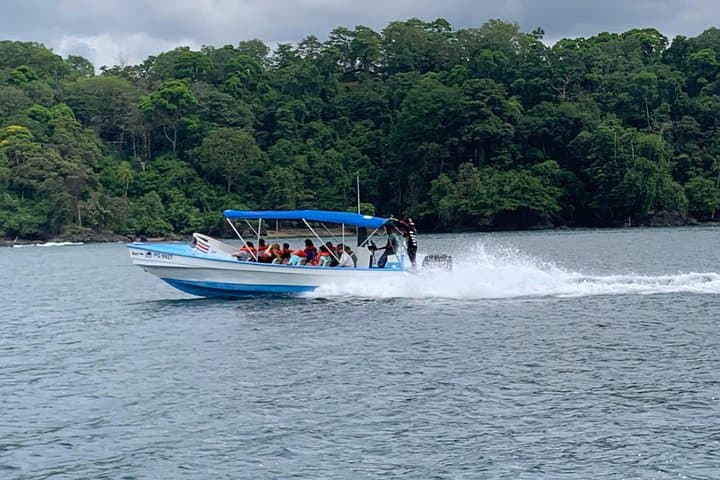 Drake Bay to Sirena: Shared Boat Transfer into Corcovado National Park photo 2