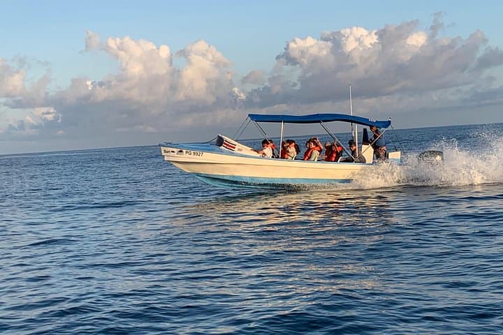 Drake Bay to Sirena: Shared Boat Transfer into Corcovado National Park photo 3