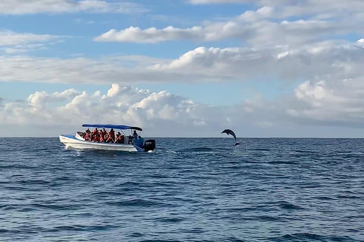 Drake Bay to Sirena: Shared Boat Transfer into Corcovado National Park photo 4