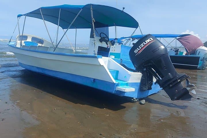 Drake Bay to Sirena: Shared Boat Transfer into Corcovado National Park photo 5