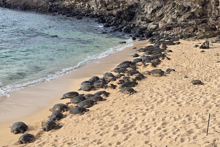 Private Road to Hana Tour with Pickup — Full-Day Guided Maui Adventure photo 4