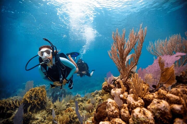 Marmaris Two-Dive Scuba Trip: Explore Aegean Reefs with Transfers & Lunch photo 3
