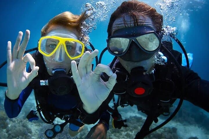 Marmaris Two-Dive Scuba Trip: Explore Aegean Reefs with Transfers & Lunch photo 4