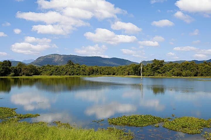Polonnaruwa to Kandy Private Tour with 4‑Hour Wasgamuwa Safari photo 6