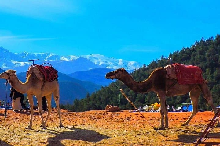 Atlas Mountains Day Trip from Marrakech: Imlil Waterfalls & Berber Villages photo 3