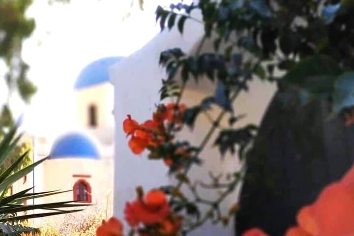 Santorini Horseback Ride Through Vineyards with Wine Tasting & Cave Tapas photo 6