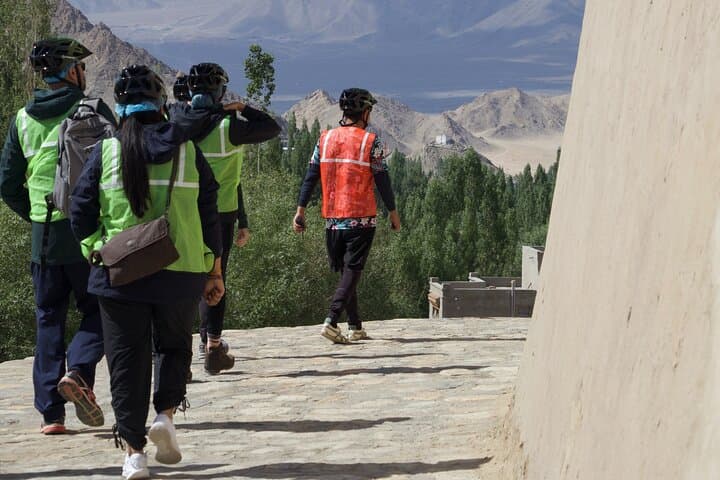 Experience Ladakh: 8-Day Immersive Cultural and High-Altitude Adventure photo 2
