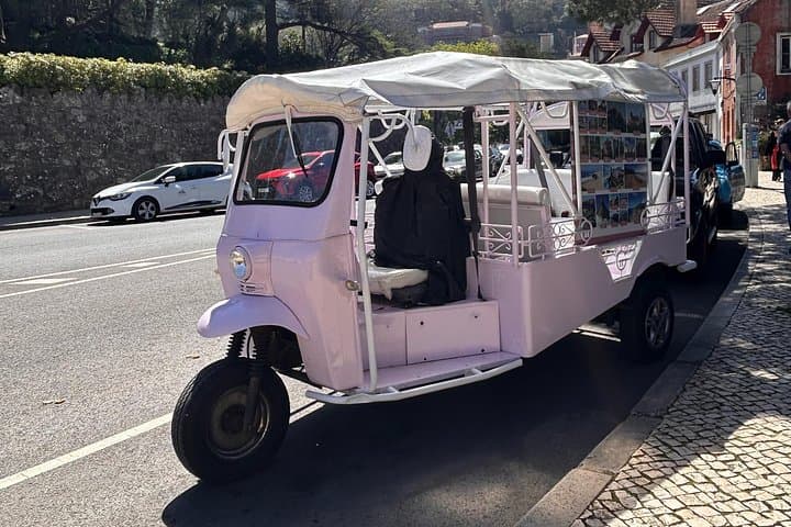 Sintra Tuktuk 1-Hour Sightseeing: Pena Palace, Moorish Castle & Quinta da Regaleira photo 3