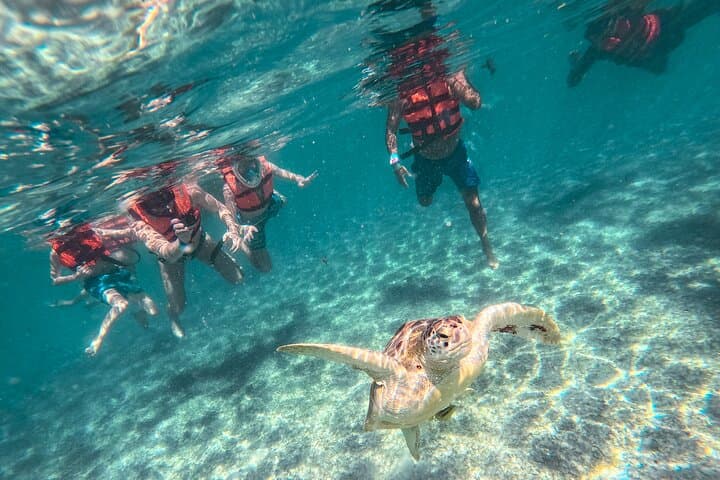 Tulum Early-Access Ruins, Akumal Sea Turtle Swim & Cenote Adventure photo 4