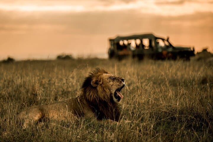 3-Day Private Masai Mara Safari: Big Five Game Drives & Maasai Village Visit