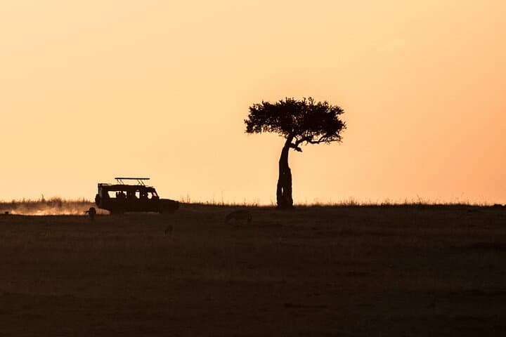 3-Day Private Masai Mara Safari: Big Five Game Drives & Maasai Village Visit photo 3