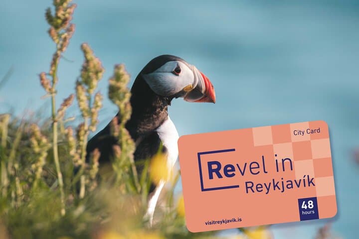 48-Hour Reykjavik City Card: Museums, Thermal Pools & Viðey Ferry