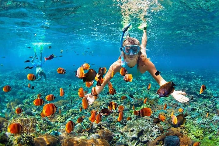 Coral Island Full-Day Snorkel Trip from Phuket: Beaches, Reefs & Hotel Transfers photo 1