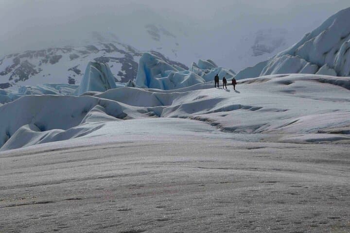 Ice Hike Grey Glacier in Torres del Paine: 5-Hour Glacier Trek photo 6