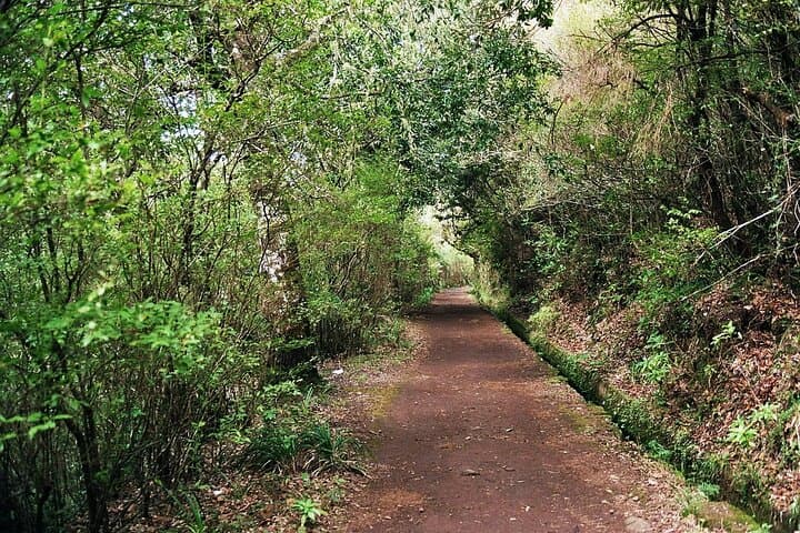 Levada Paradise Valley Walk: Easy Levada Hike Through Camacha’s Terraced Landscape
