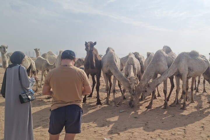 Kuwait City Full-Day Sightseeing: Fish Market, Grand Mosque & Cultural Highlights photo 5