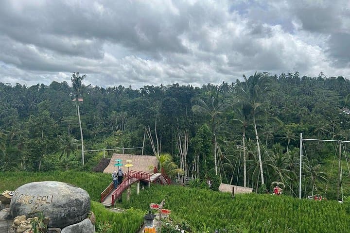 Ubud Private Tour From Benoa Port: Rice Terraces, Temples & Waterfall (All-Inclusive) photo 5