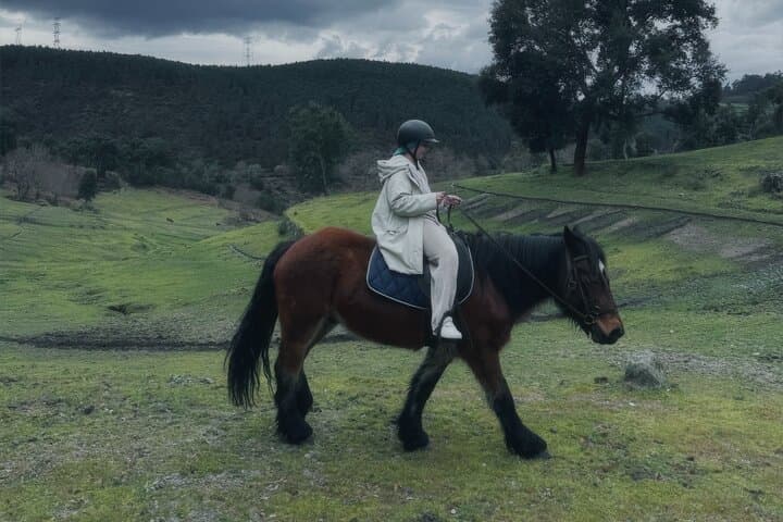 Basto Mountain Ride: 1-Hour Horseback Trail in Serra da Cabreira, Portugal