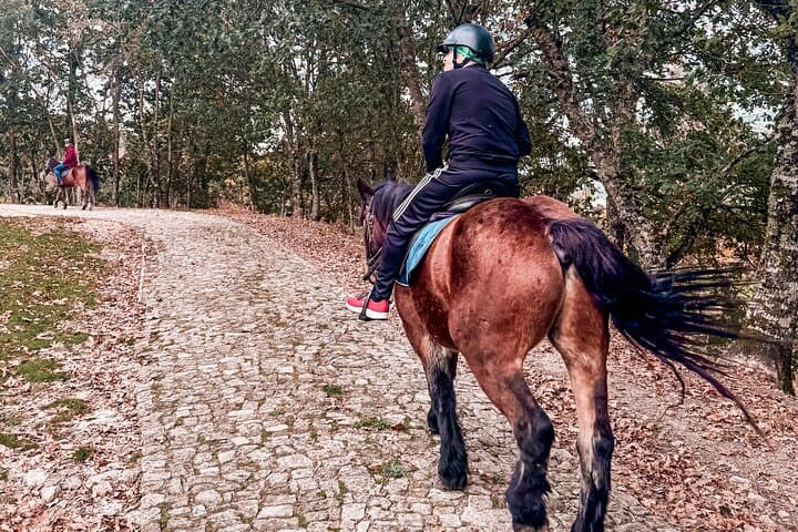 Basto Mountain Ride: 1-Hour Horseback Trail in Serra da Cabreira, Portugal photo 5