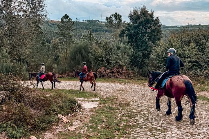 Basto Mountain Ride: 1-Hour Horseback Trail in Serra da Cabreira, Portugal photo 6