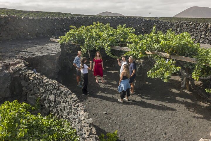 lanzarote-volcanic-wine-tour-wine-museum-and-tasting photo 3