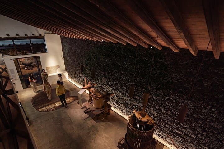lanzarote-volcanic-wine-tour-wine-museum-and-tasting photo 5