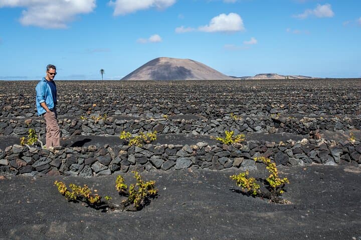 lanzarote-volcanic-wine-tour-wine-museum-and-tasting photo 2