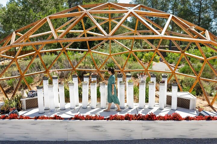 Inside BiBo Park Ibiza: A 60-Minute Biotech Botanical Experience photo 2