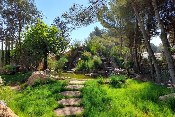 Inside BiBo Park Ibiza: A 60-Minute Biotech Botanical Experience photo 3