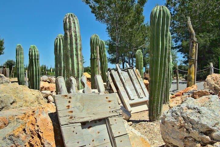 Inside BiBo Park Ibiza: A 60-Minute Biotech Botanical Experience photo 4