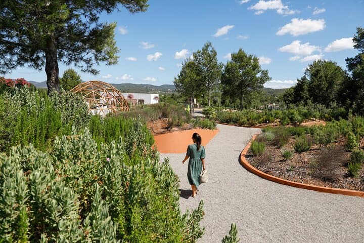 Inside BiBo Park Ibiza: A 60-Minute Biotech Botanical Experience photo 6