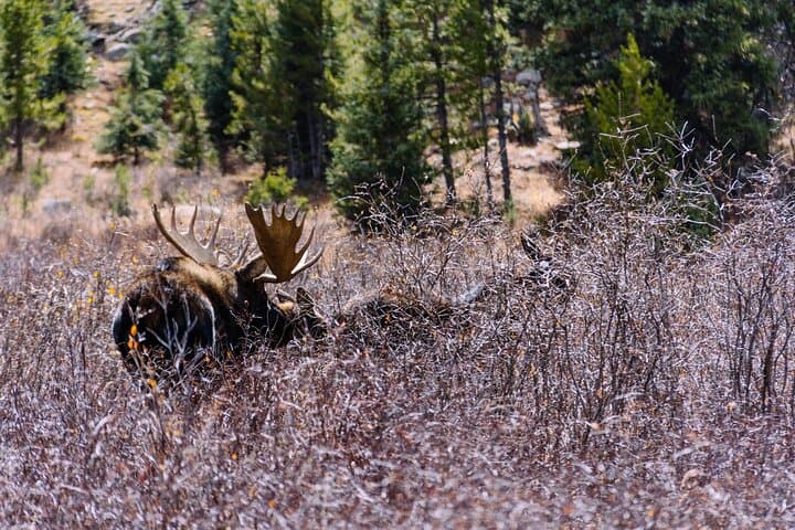 Breckenridge via Hoosier Pass: Private Colorado Adventure Tour photo 6