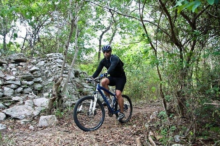 Playa del Carmen Mountain Bike Jungle & Cenote Tour — Ride, Swim, Explore photo 1