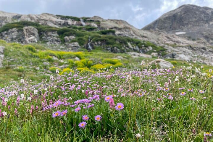 Georgetown via Guanella Pass Private Colorado Tour — Mt. Bierstadt Views & Historic Georgetown photo 5