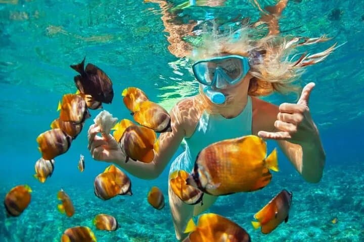 Mnemba Snorkeling and Dolphin Swim Adventure from Nungwi photo 2