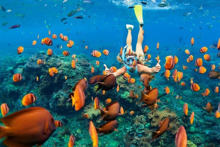 Mnemba Snorkeling and Dolphin Swim Adventure from Nungwi photo 3