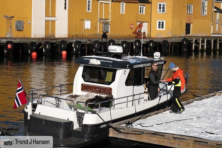Private 4-Hour Boat Sightseeing in Leknes, Lofoten — Exclusive Small-Group Tour