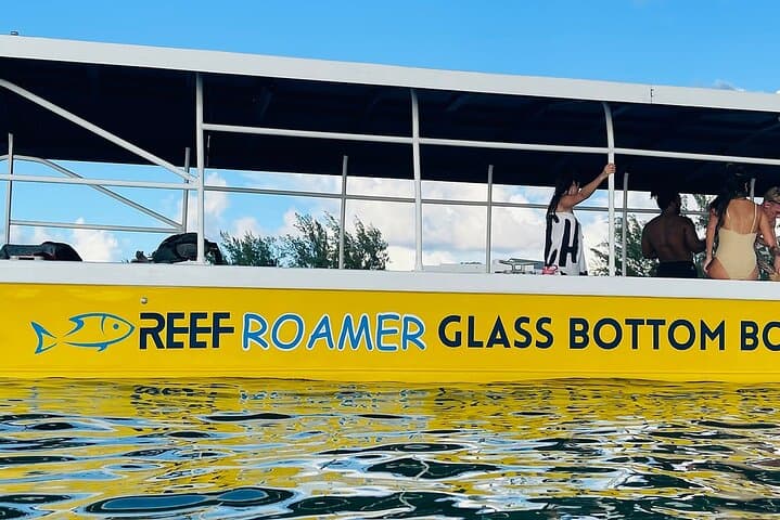 Grand Cayman 2-Stop Reef Snorkel & Glass-Bottom Boat Adventure photo 3