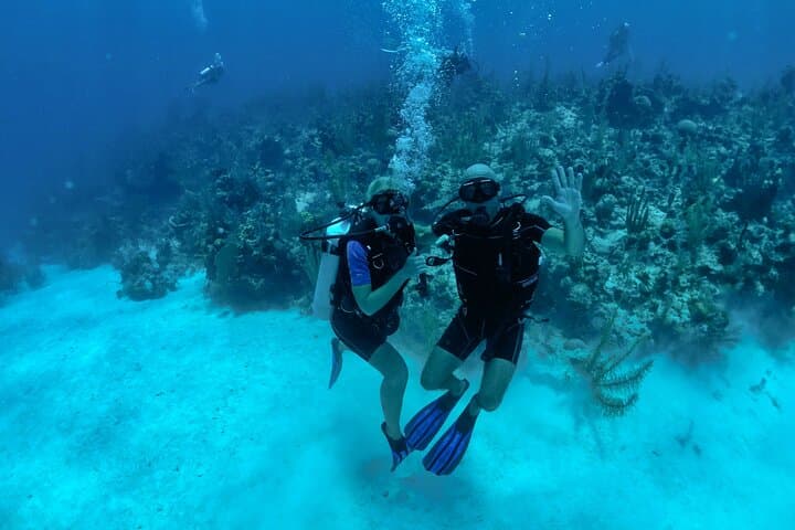 Two-Tank Dive the Belize Barrier Reef from San Pedro photo 2