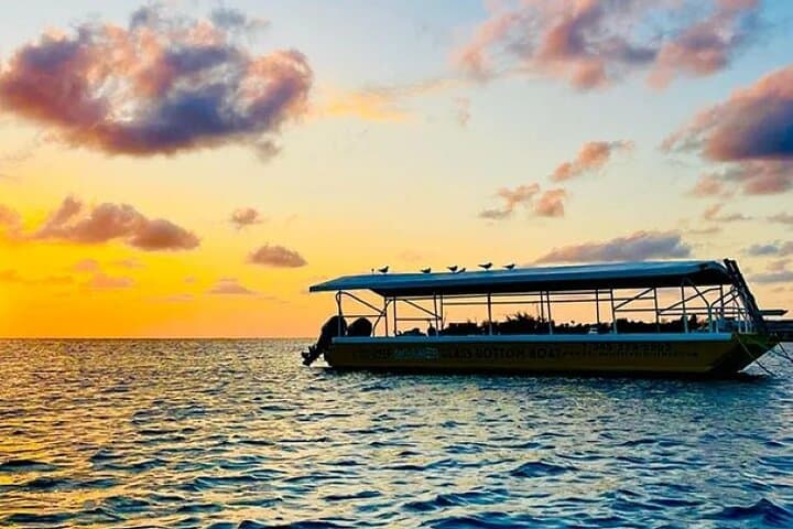 Grand Cayman 2-Stop Reef Snorkel & Glass-Bottom Boat Adventure photo 5