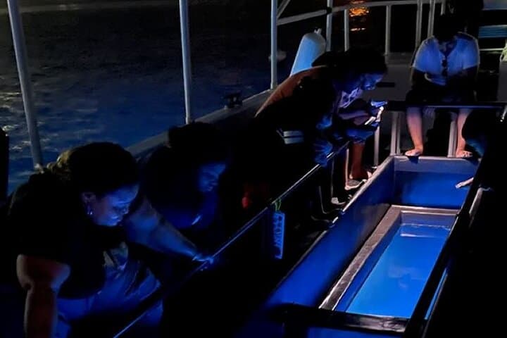 Grand Cayman 2-Stop Reef Snorkel & Glass-Bottom Boat Adventure photo 6