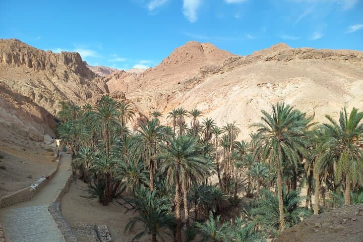 3-Day Sahara Tour South Tunisia — Douz, Tozeur & Kairouan Highlights photo 5