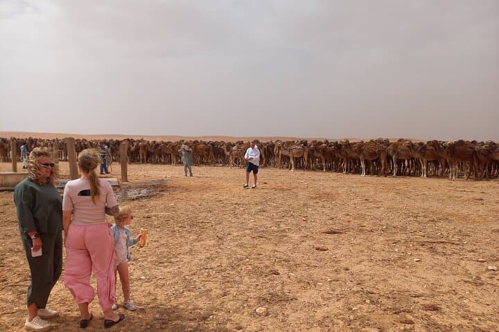 3-Day Sahara Tour South Tunisia — Douz, Tozeur & Kairouan Highlights photo 3