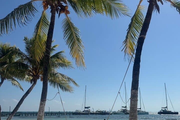Isla Mujeres North Beach Catamaran: Snorkel MUSA, Beach Club Buffet & Open Bar photo 3