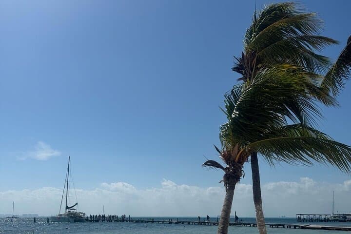 Isla Mujeres North Beach Catamaran: Snorkel MUSA, Beach Club Buffet & Open Bar photo 4