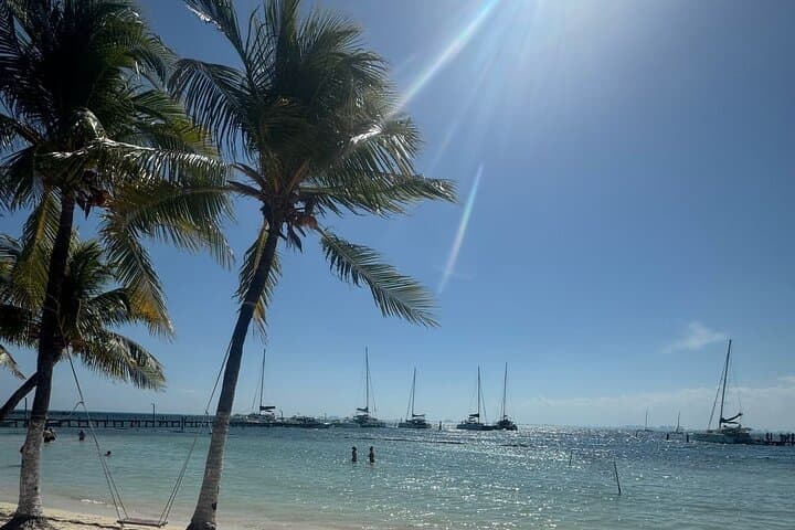 Isla Mujeres North Beach Catamaran: Snorkel MUSA, Beach Club Buffet & Open Bar photo 6